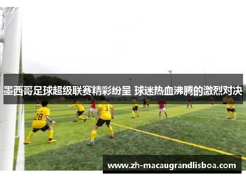 墨西哥足球超级联赛精彩纷呈 球迷热血沸腾的激烈对决 墨西哥足球超级联赛精彩纷呈 球迷热血沸腾的激烈对决