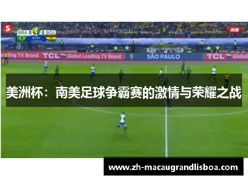 美洲杯:南美足球争霸赛的激情与荣耀之战 美洲杯:南美足球争霸赛的激情与荣耀之战